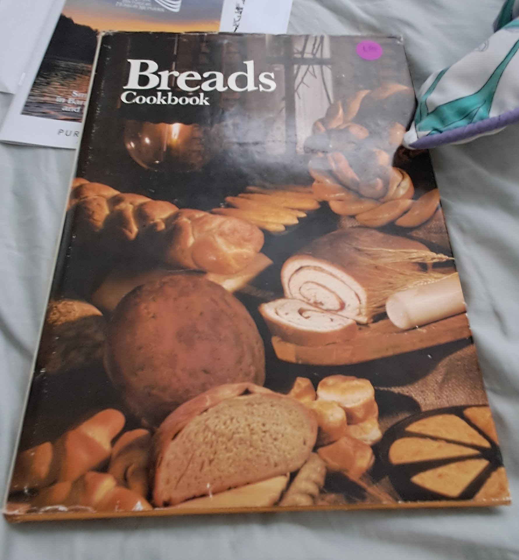 &ldquo;book about bread&rdquo;